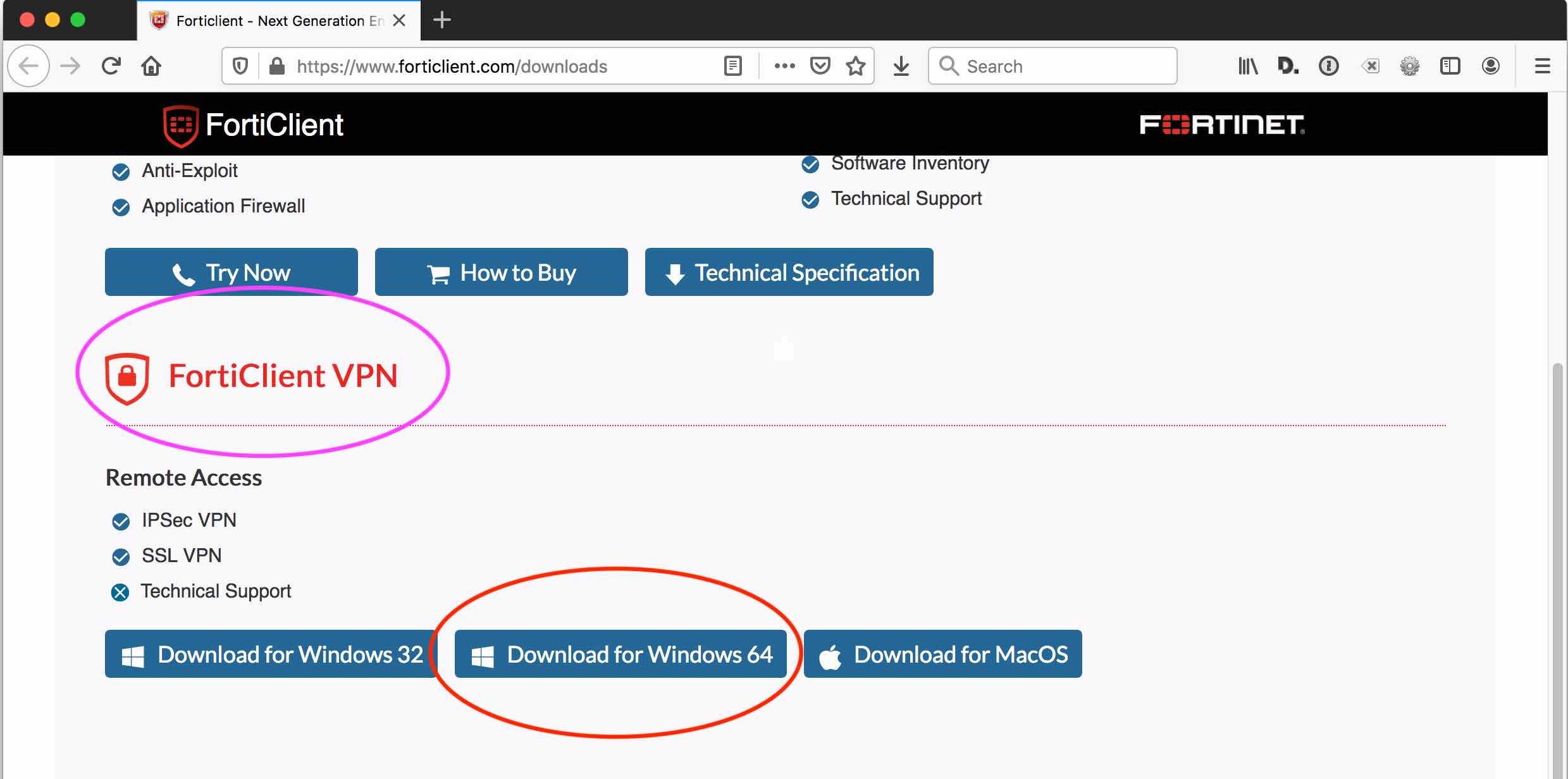 windows 10 forticlient vpn not working